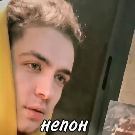 Эмодзи Fludd'ushka