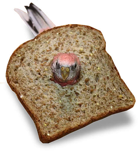 Эмодзи birbs