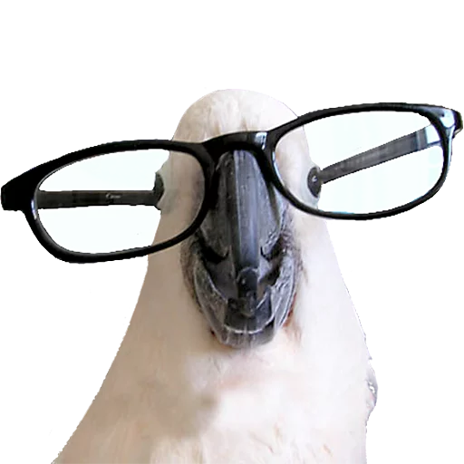 Эмодзи birbs
