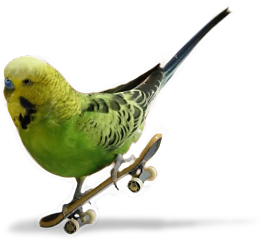 Эмодзи birbs