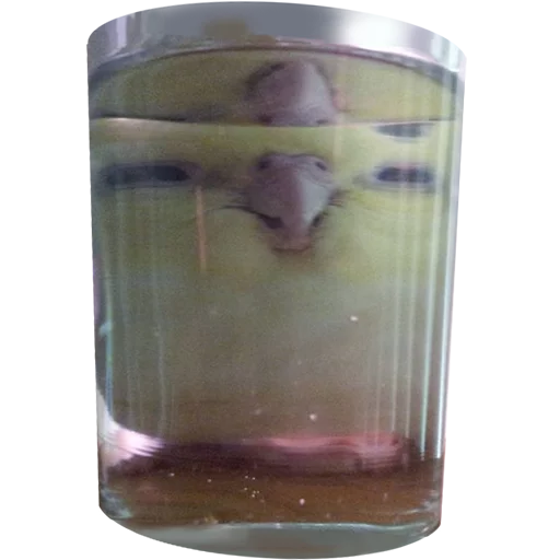 Эмодзи birbs