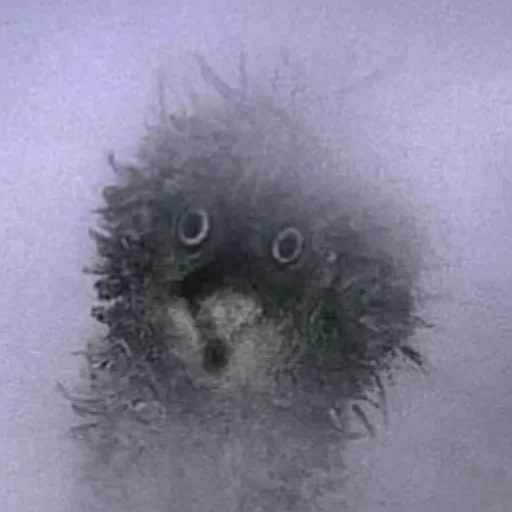 Эмодзи Ёжик в тумане