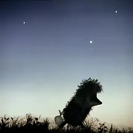 Эмодзи Ёжик в тумане