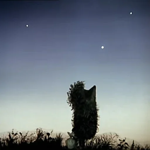 Эмодзи Ёжик в тумане