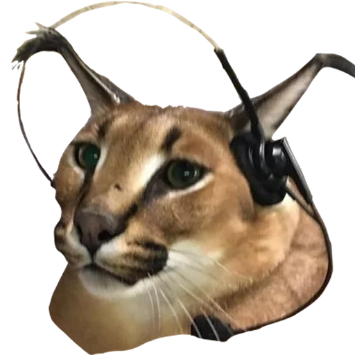 Эмодзи Большой Шлепа