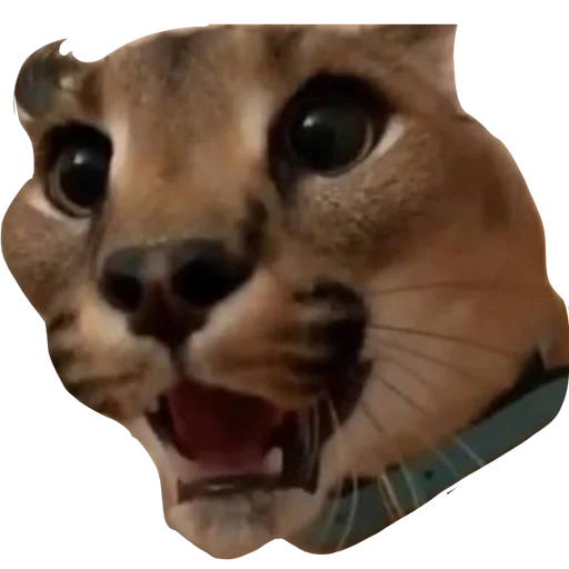 Эмодзи Большой Шлепа