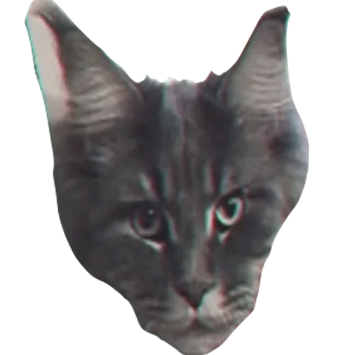 Эмодзи Большой Шлепа