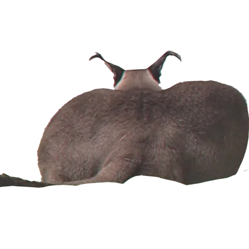 Эмодзи Большой Шлепа