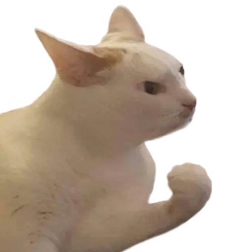 Эмодзи Facchia