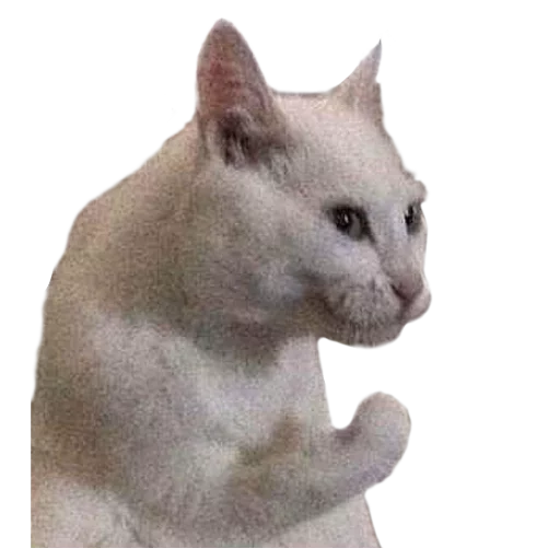 Эмодзи Facchia