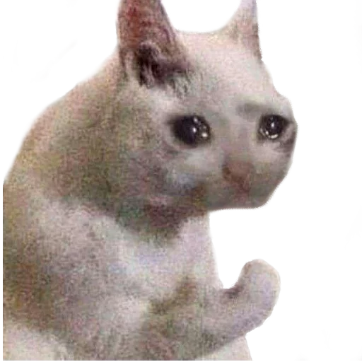 Эмодзи Facchia