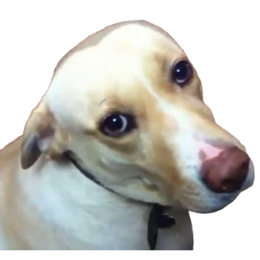 Эмодзи Facchia