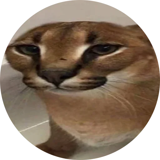 Эмодзи Fake Circle