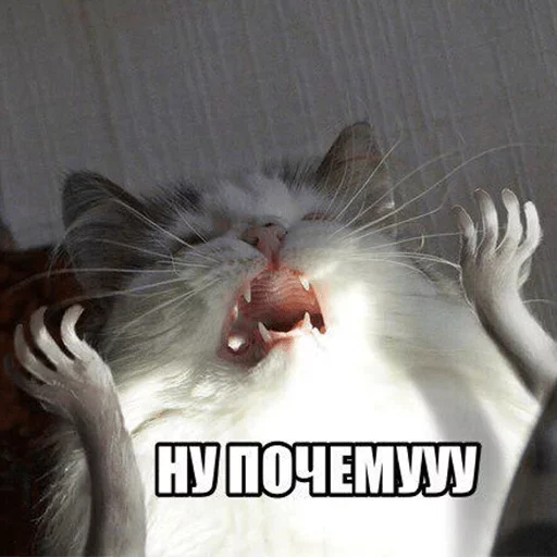 Эмодзи Fave Stickers