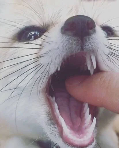 ?