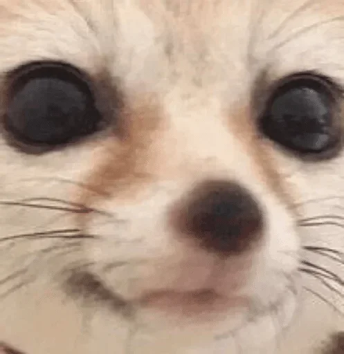 😶