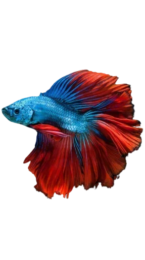 Эмодзи Fish