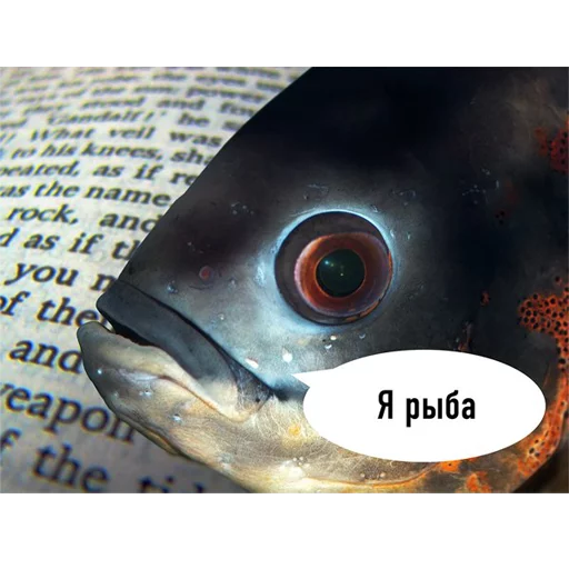 ?
