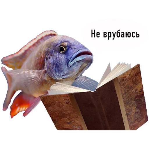 Эмодзи fish
