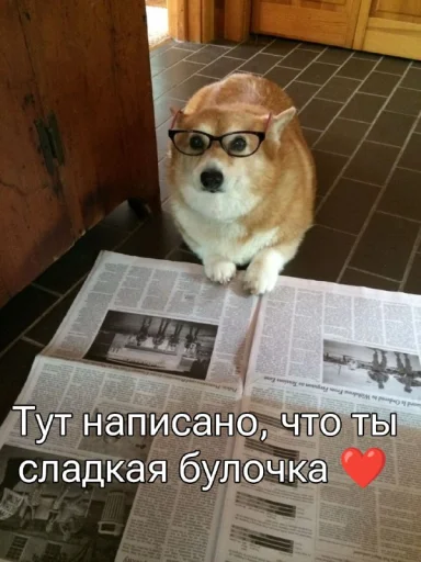 Эмодзи Five Plus Stickers