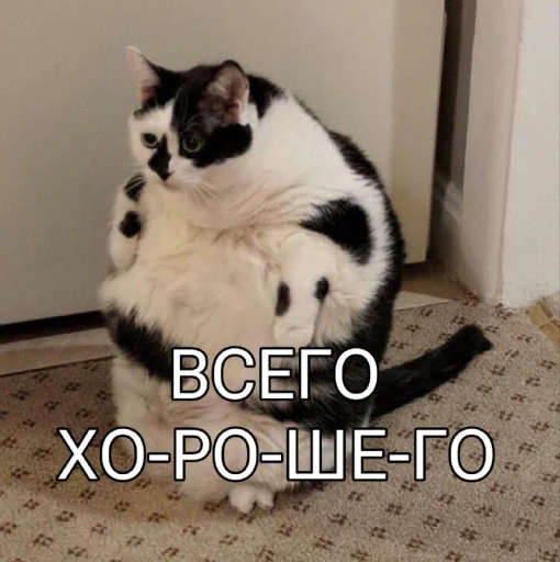 Эмодзи Five Plus Stickers