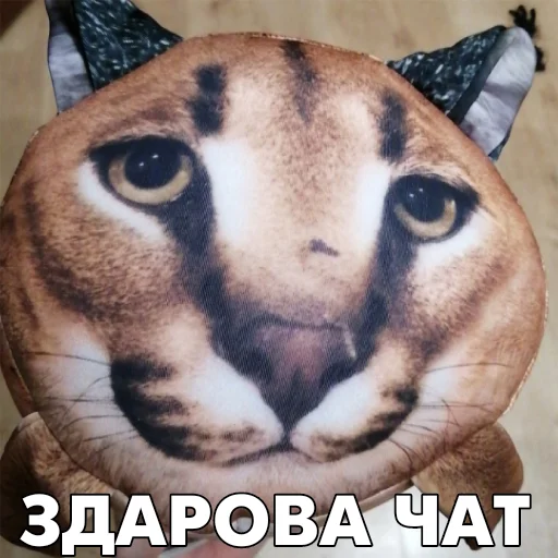 ?