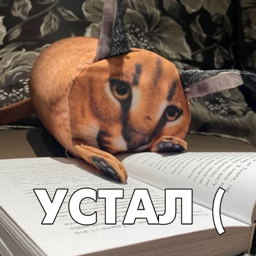 Эмодзи Floppa BLOPTOP