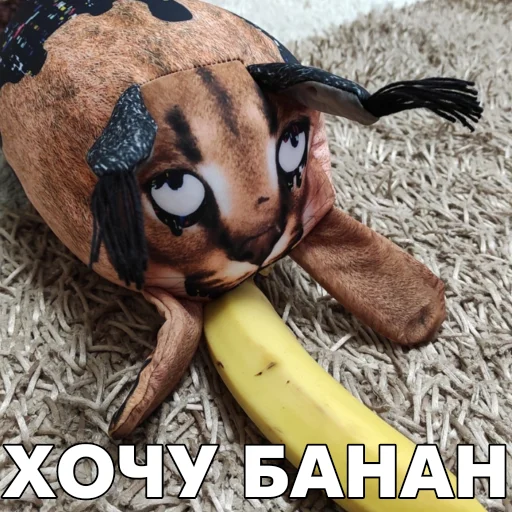 Эмодзи Floppa BLOPTOP
