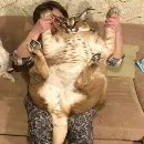 Эмодзи Floppa