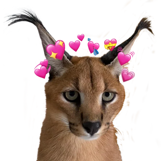 Эмодзи Floppa Caracal