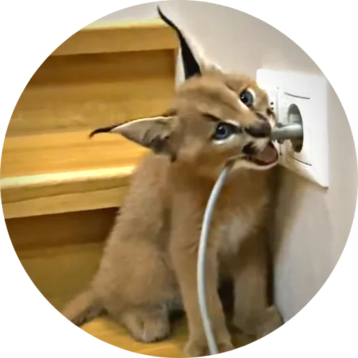 Эмодзи Flopped