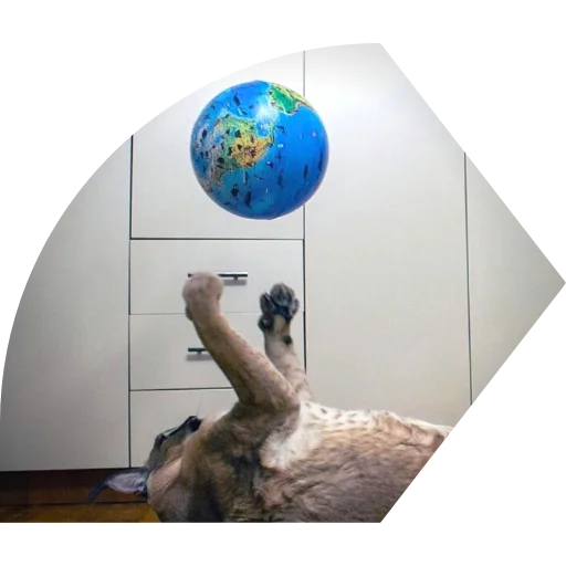 Эмодзи Flopped