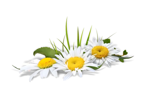Эмодзи Flores by Helena
