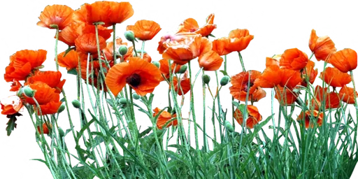 Эмодзи Flores by Helena