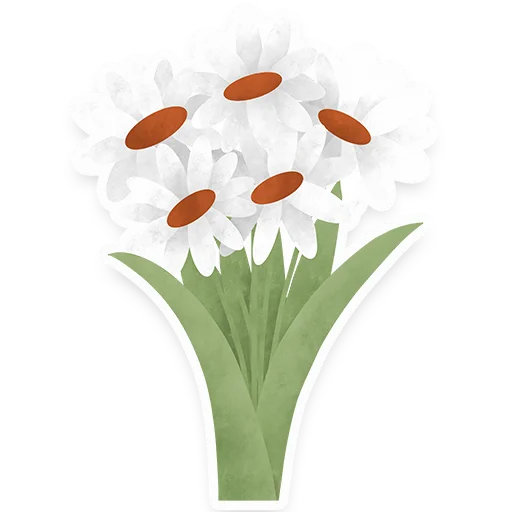 🌼