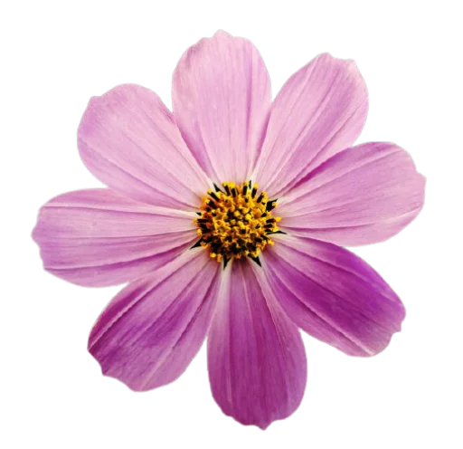 Эмодзи Flowersui