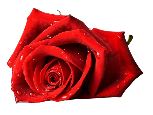 Эмодзи Flowersui