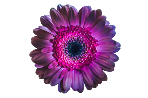 Эмодзи Flowersui