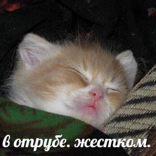 Эмодзи FockingLife