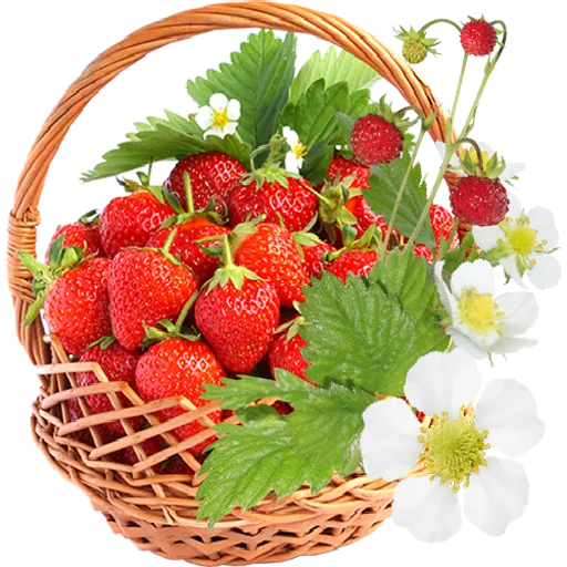 Эмодзи Fruit & Veg Gifts