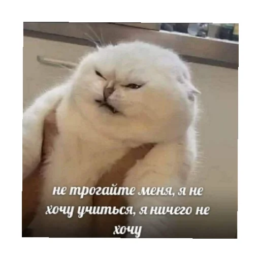 Эмодзи For every occasion 2