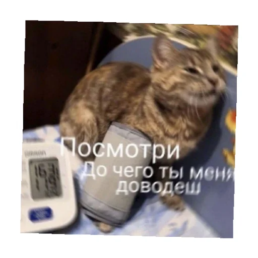 Эмодзи For every occasion 2