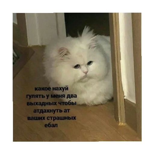 Эмодзи For every occasion 2
