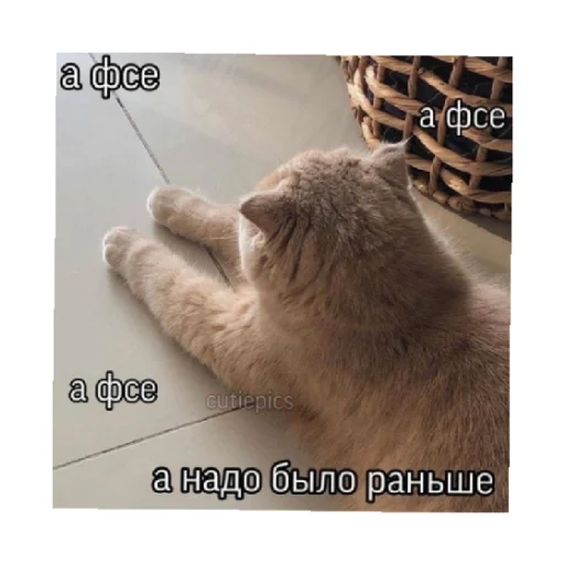 Эмодзи For every occasion 3