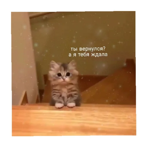 Эмодзи For every occasion 5