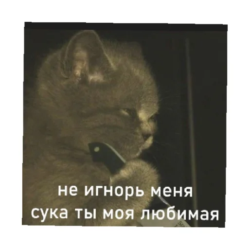 Эмодзи For every occasion 5