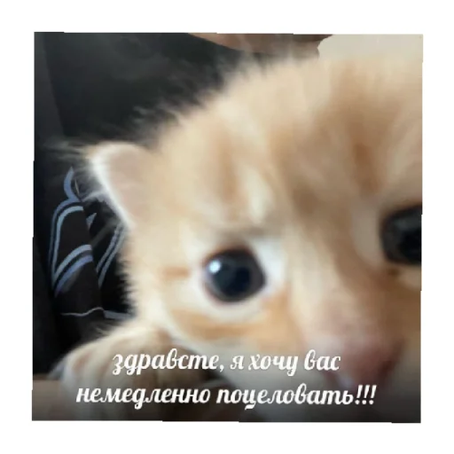 Эмодзи For every occasion 5