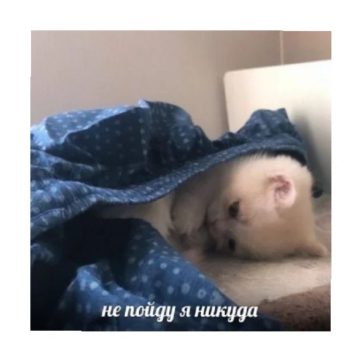 Эмодзи For every occasion 5