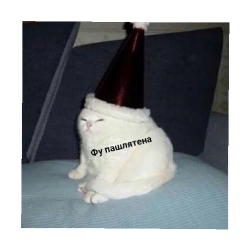 ?