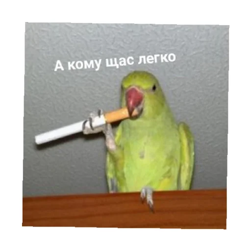 Эмодзи For every occasion